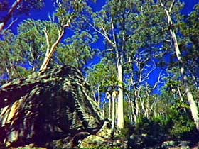 Blackdown Tableland National Park - Hotel Accommodation 3