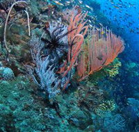 SS Yongala Dive Site - Hotel Accommodation