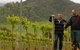 Grampians Estate - thumb 2