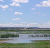 Fivebough Wetlands - Hotel Accommodation