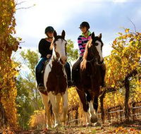 Billabong Ranch - Hotel Accommodation