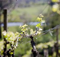 Mountainside Wines - Hotel Accommodation