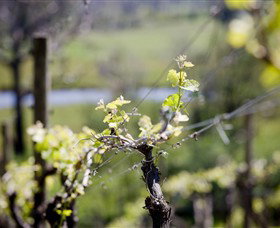 Mountainside Wines - Hotel Accommodation 0