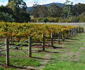 Mountainside Wines - Hotel Accommodation 1