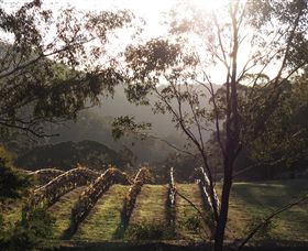 Mountainside Wines - Hotel Accommodation 3