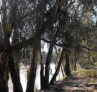 Mia Forest Drives Narrandera - Hotel Accommodation
