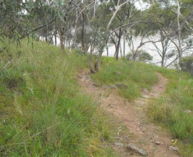 Bundidgerry Walking Track - Hotel Accommodation 1