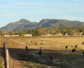Tooraweenah NSW Hotel Accommodation