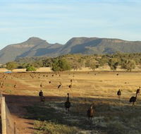Emu Logic - Hotel Accommodation