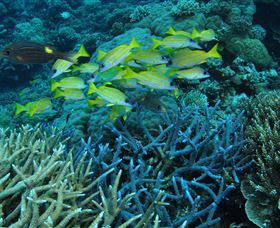 Port Douglas QLD Hotel Accommodation