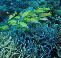 Castle Rock Dive Site - Hotel Accommodation