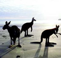 Hibiscus Coast - Hotel Accommodation