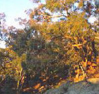 Mount Alexander Regional Park - Hotel Accommodation