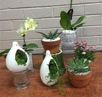 Cobram Florist - Hotel Accommodation