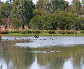 Girgarre East ACT Hotel Accommodation