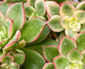 Billabong Garden Complex & Cafe - Hotel Accommodation 0