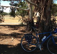 Murchison Rail Trail - Hotel Accommodation