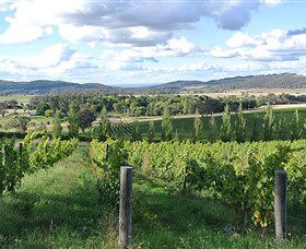 Sassy Wines - Hotel Accommodation 0