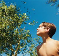 Bushwalking on Keswick Island - Hotel Accommodation