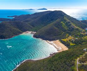 Whale Watching On Keswick Island - Hotel Accommodation 1