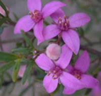 Self Drive Geology and Nature Trails - Hotel Accommodation