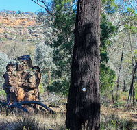 Eualdrie walking track - Hotel Accommodation