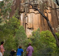 Sawn Rocks walking track - Hotel Accommodation