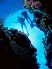 Caves And Canyons Dive Site - Hotel Accommodation 0