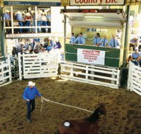 Gracemere Exhibition Complex - Hotel Accommodation