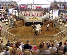 Gracemere Exhibition Complex - Hotel Accommodation 1