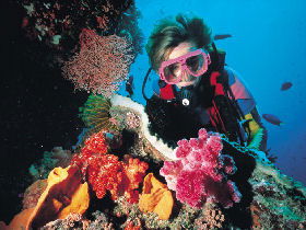 Great Barrier Reef - Whitsundays - Hotel Accommodation 1