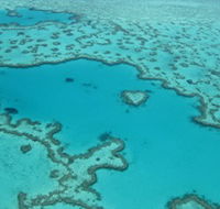 Heart Reef - Hotel Accommodation