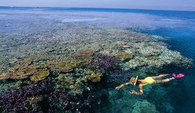 Hardy Reef - Hotel Accommodation 1