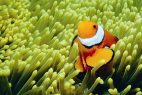Hardy Reef - Hotel Accommodation 3