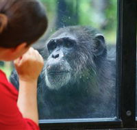 The Rockhampton Zoo - Hotel Accommodation