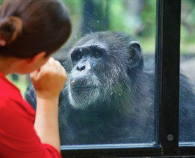 The Rockhampton Zoo - Hotel Accommodation 0