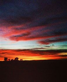 Springview Eco-Farm - Hotel Accommodation 0