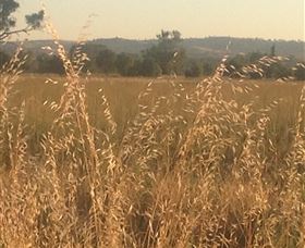 Springview Eco-Farm - Hotel Accommodation 3