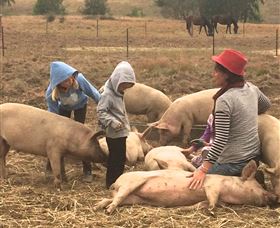 Springview Eco-Farm - Hotel Accommodation 2