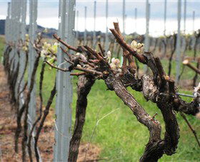 Stockmans Ridge Wines - Hotel Accommodation 2