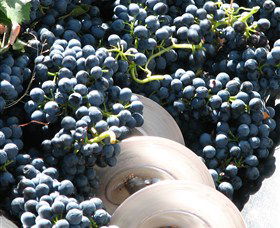 Orange Mountain Wines - Hotel Accommodation 2