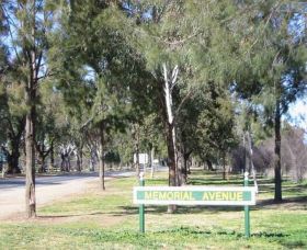 Memorial Avenue In Cowra - Hotel Accommodation 1