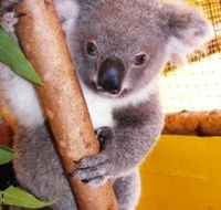 Cooberrie Park Wildlife Sanctuary - Hotel Accommodation