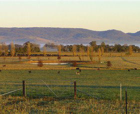 Holbrook NSW Hotel Accommodation