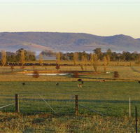 Holbrook Landcare Self-Drive Eco Tour - Hotel Accommodation