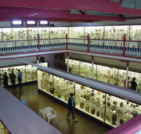 National Museum of Australian Pottery - Hotel Accommodation
