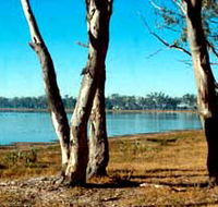 Lake Broadwater Conservation Park - Hotel Accommodation