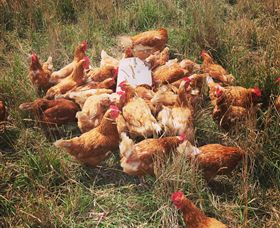 Ravens Creek Farm - Hotel Accommodation 6