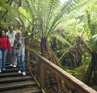 Otway Fly Treetop Adventures - Hotel Accommodation