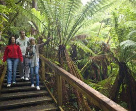 Otway Fly Treetop Adventures - Hotel Accommodation 0